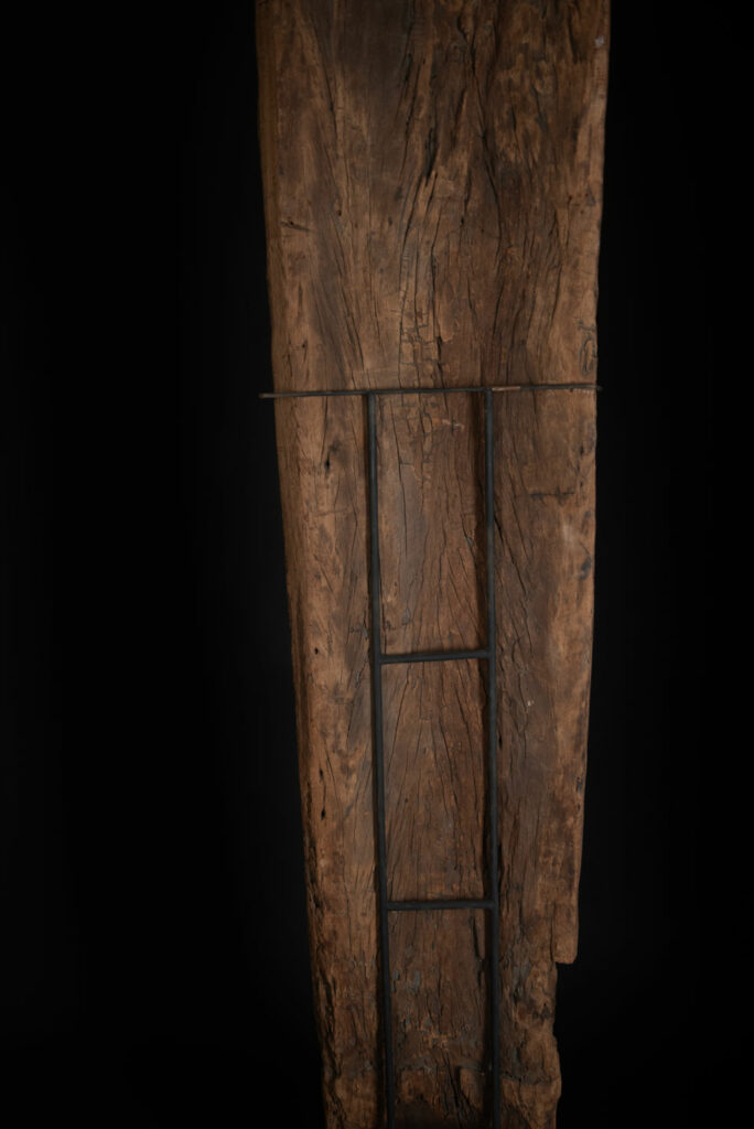 Very beautiful and massive ancestral panel from the Paiwan tribe, dating from the 19th century, carved with a nude female ancestor wearing a headdress formed by two intertwined snakes facing away from each other. A truly remarkable piece.