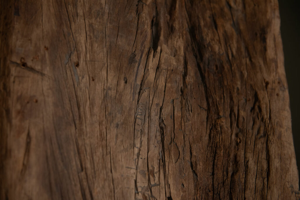 Very beautiful and massive ancestral panel from the Paiwan tribe, dating from the 19th century, carved with a nude female ancestor wearing a headdress formed by two intertwined snakes facing away from each other. A truly remarkable piece.