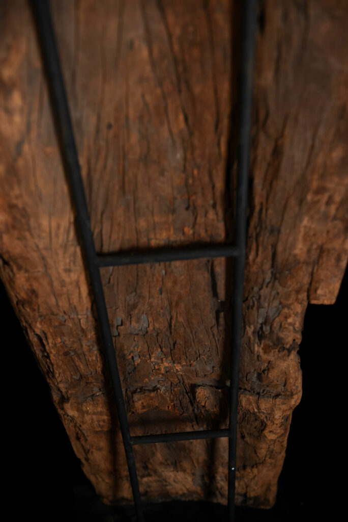 Very beautiful and massive ancestral panel from the Paiwan tribe, dating from the 19th century, carved with a nude female ancestor wearing a headdress formed by two intertwined snakes facing away from each other. A truly remarkable piece.