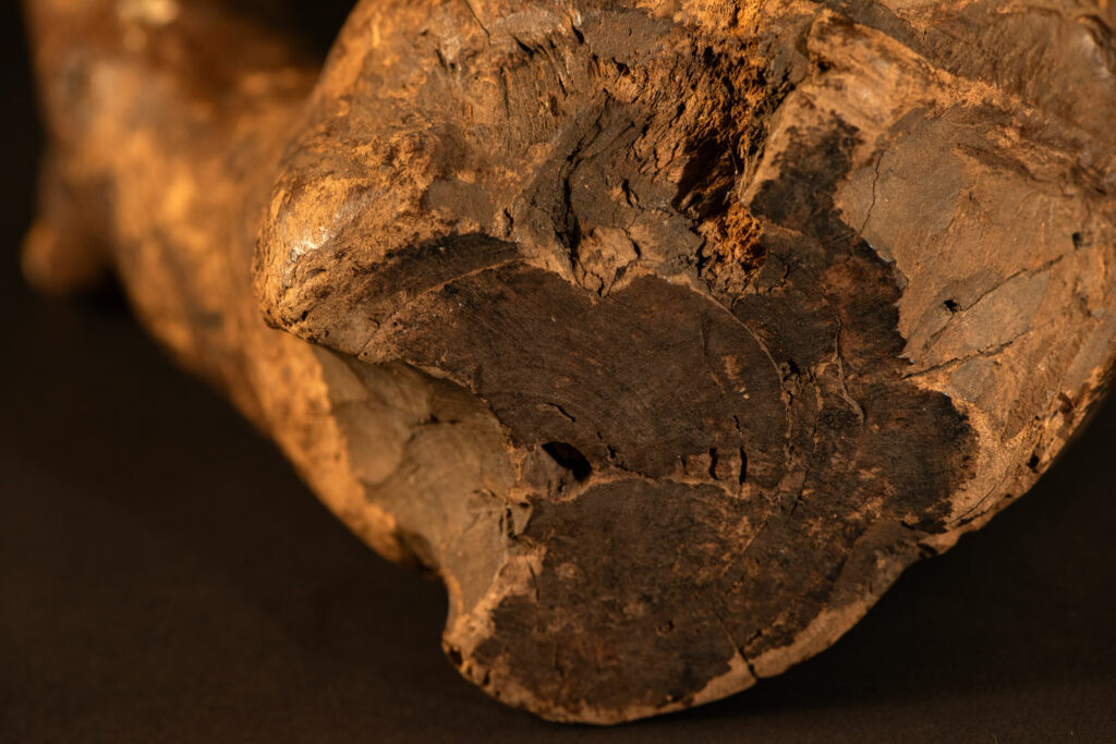 Paiwan tribe archaic ritual cup of a shaman carved with a standing hunter at the front, sacred snakes , deer on the lid and a hunter with his dog hunting a wilde animal