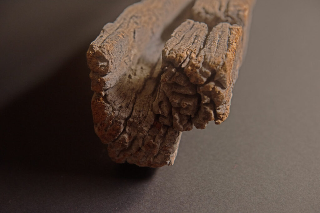 19th-century door lintel from the Paiwan tribe, carved with a pair of snakes facing each other and two human faces on either side. This Paiwan panel is heavily eroded and was probably placed above the entrance, exposed to the elements.