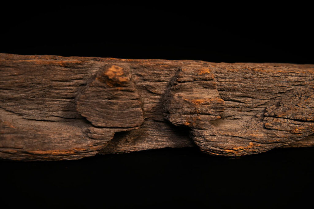 19th-century door lintel from the Paiwan tribe, carved with a pair of snakes facing each other and two human faces on either side. This Paiwan panel is heavily eroded and was probably placed above the entrance, exposed to the elements.