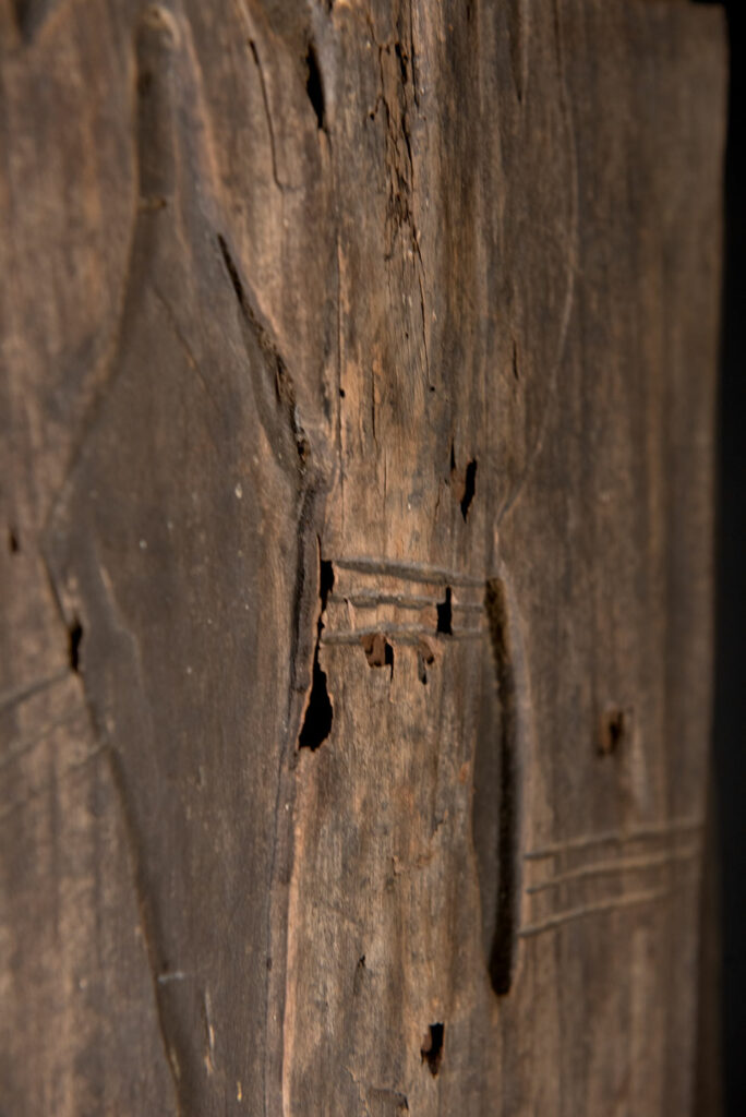 Pair of ancestor panels from the Paiwan tribe, depicting a male and a female figure, both wearing feathered headdresses — symbols of valor and vigor. The panels are inlaid with porcelain circles at the eyes, mouth, and waist, representing the ceremonial belts they wear.