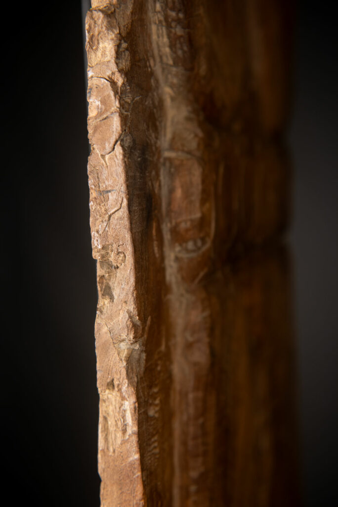 Ancient massive paiwan tribe ancestor panel carved with a standing figure of an ancestor Wearing a two-headed snake as a headdress and a ceremonial belt.