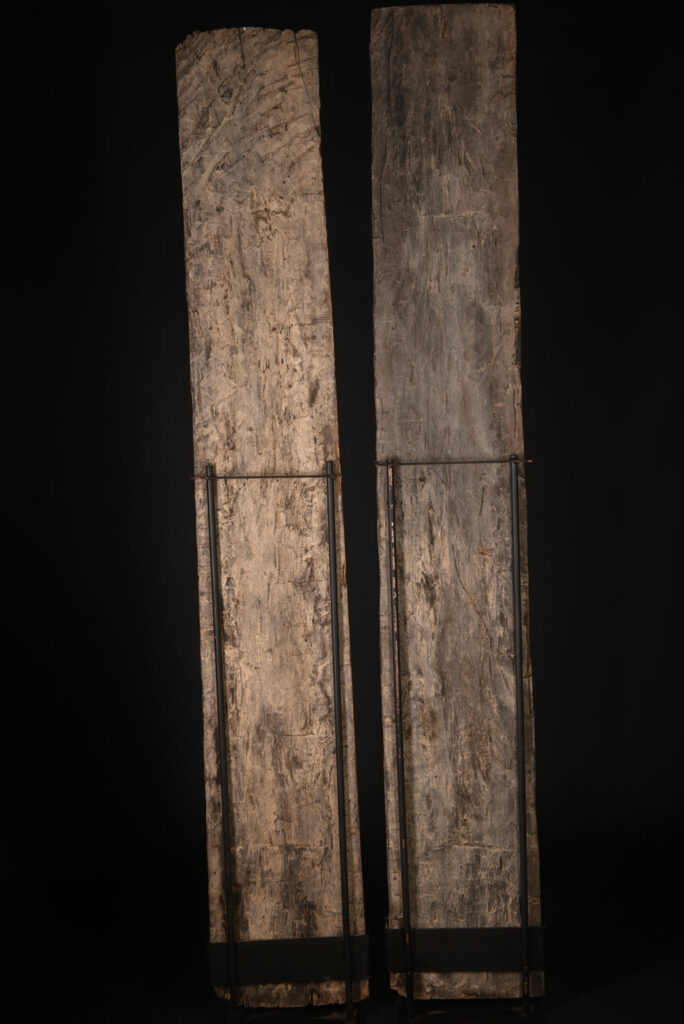 Pair of Paiwan Tribe Ancestor Panels, likely from Laiyi, carved with two figures—a male and a female. Their eyes, mouth, nipples, and navel are inlaid with porcelain. Their arms and legs are decorated with tribal motifs suggesting tattoos. Both figures wear hats, and the snakes carved above their heads indicate that they were important members of the nobility.